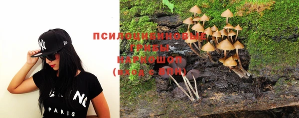 молекула духа Алексин