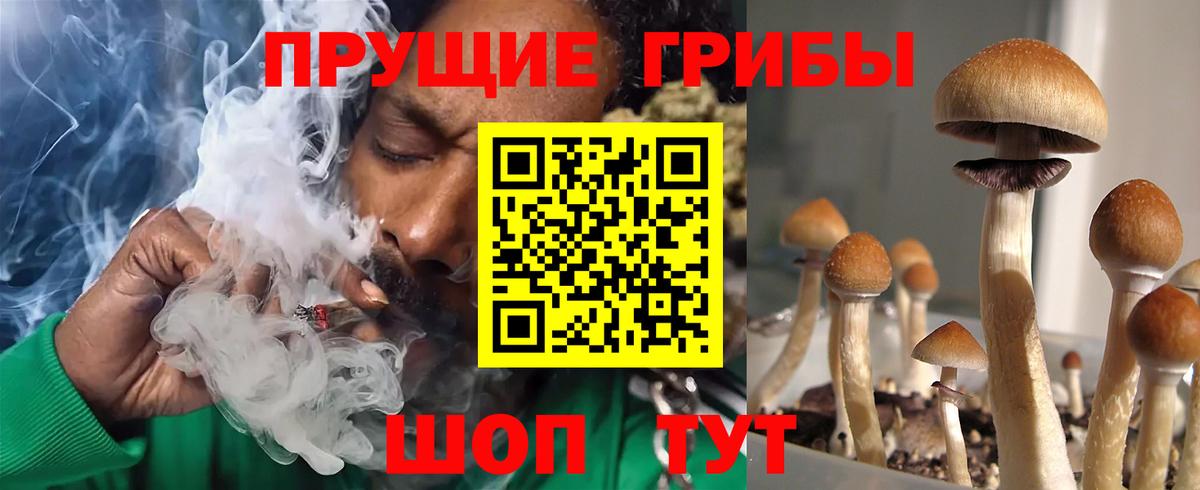 Галлюциногенные грибы мицелий  Вход с VPN  Галлюциногенные грибы прущие грибы  сколько стоит  Смоленск 